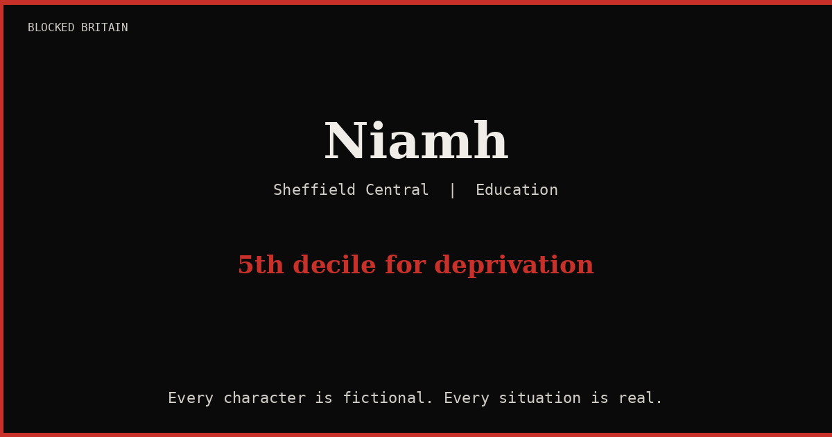 Niamh's Story episode artwork